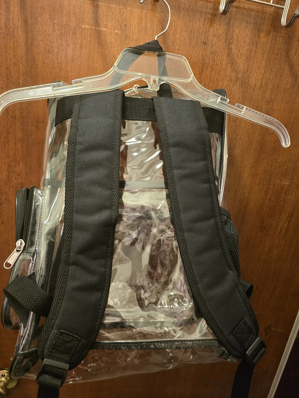 Clear PVC Black-Trim Men's Backpack - Transparent Travel Bag